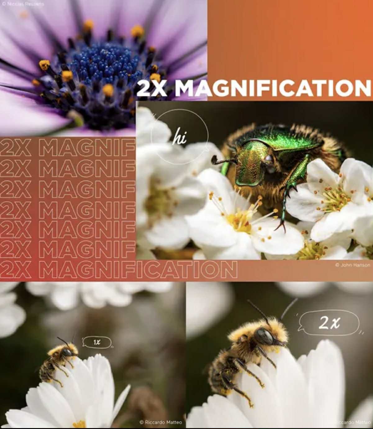LAOWA FFII 90mm F2.8 CA-Dreamer Macro 2X Full-Frame Lens