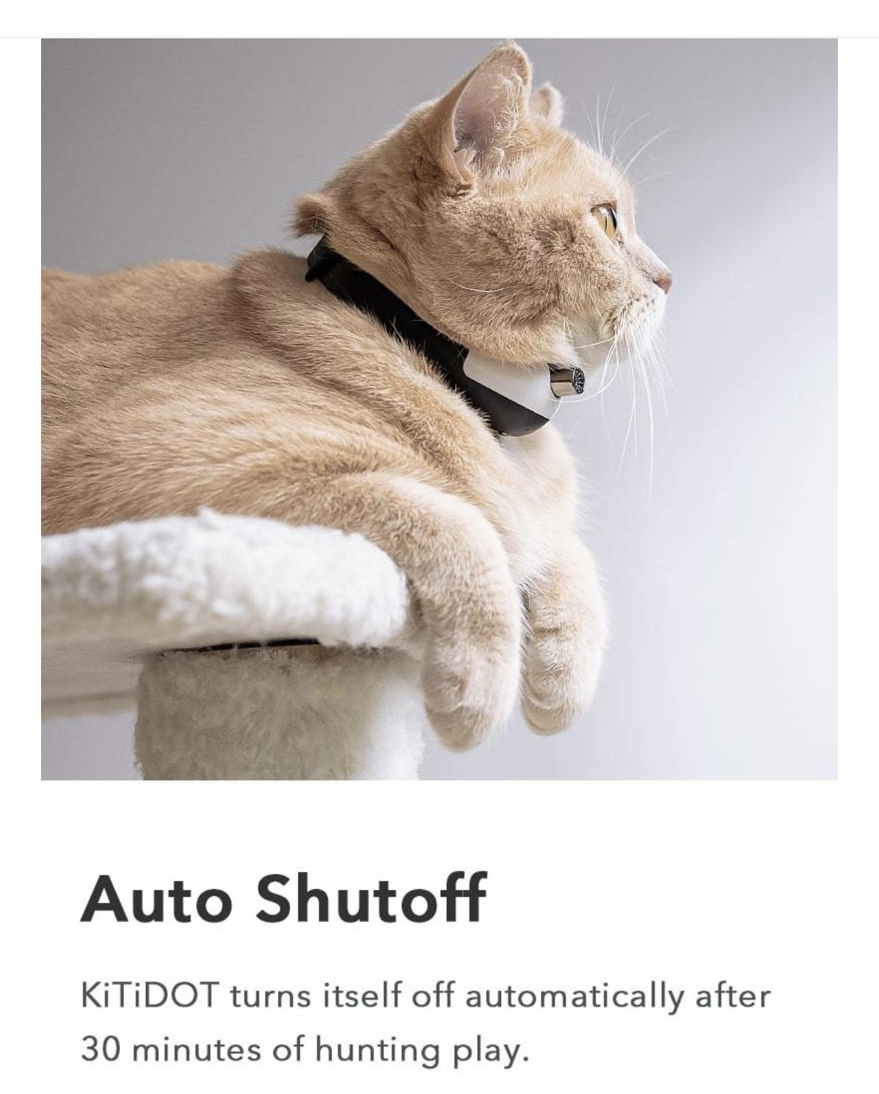 Cheerble KiTiDOT NUM-mini 9 Amusing Collar Cat Toy