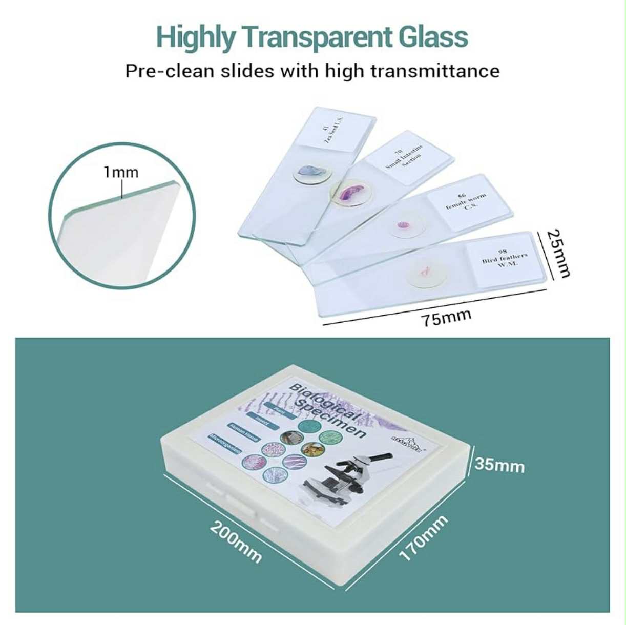 100 Prepared Microscope Slides W/Specimens | WR-W08
