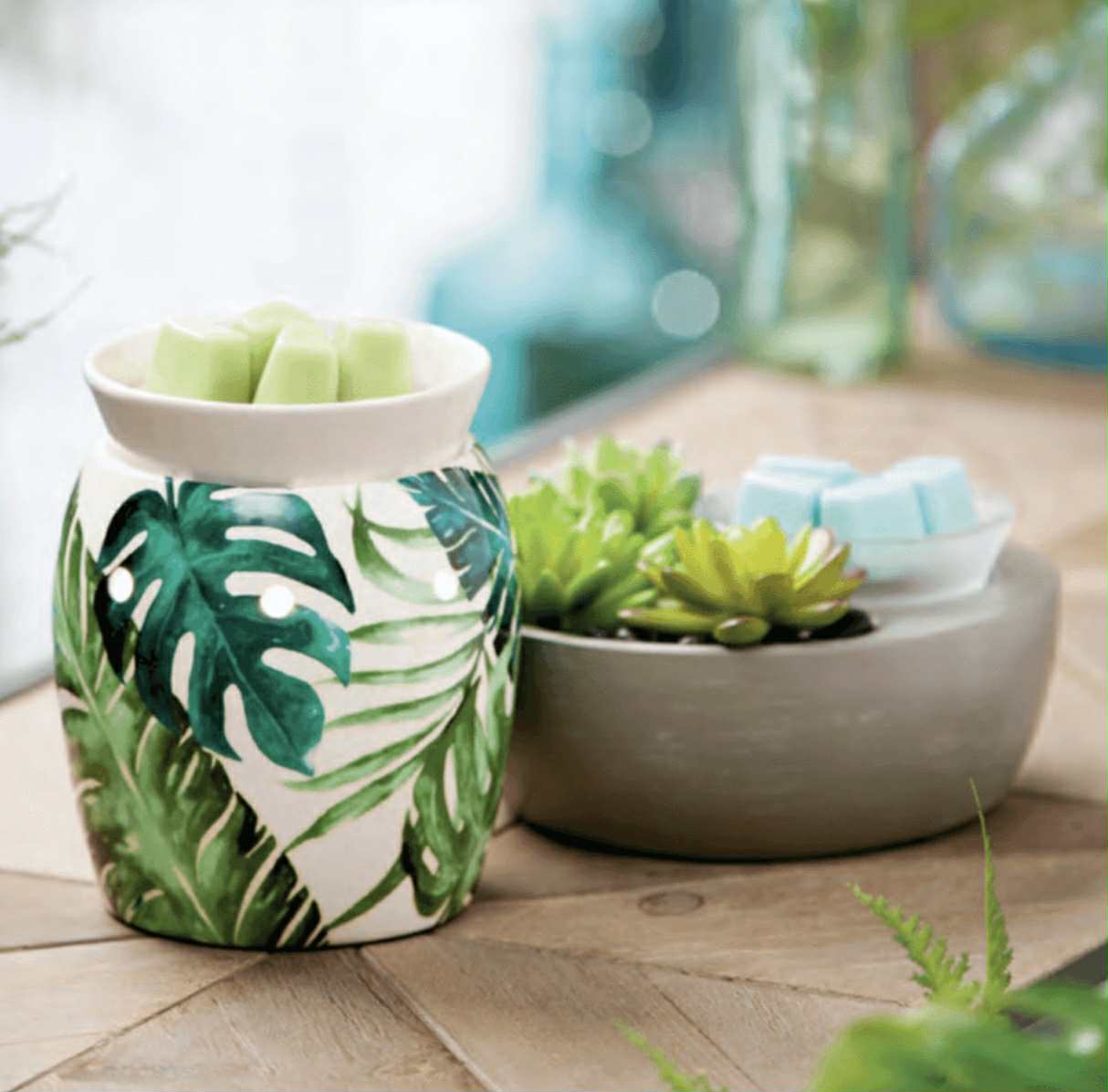 SCENTSY Rainforest Fern Scent Wax Warmer + 3 Scent Wax Kit