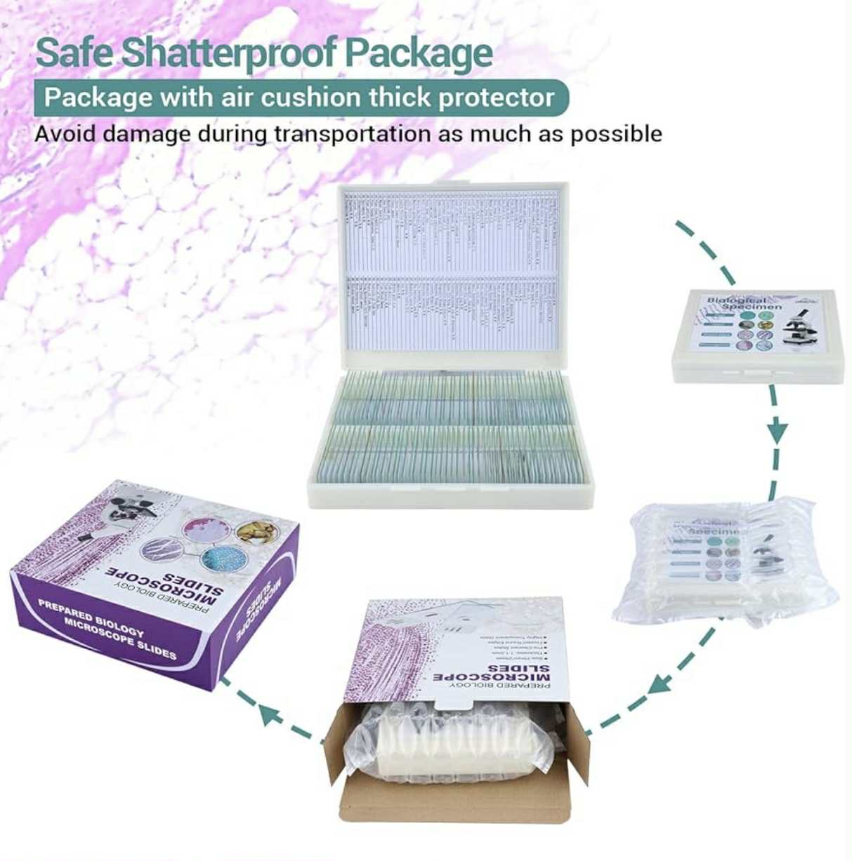 100 Prepared Microscope Slides W/Specimens | WR-W08