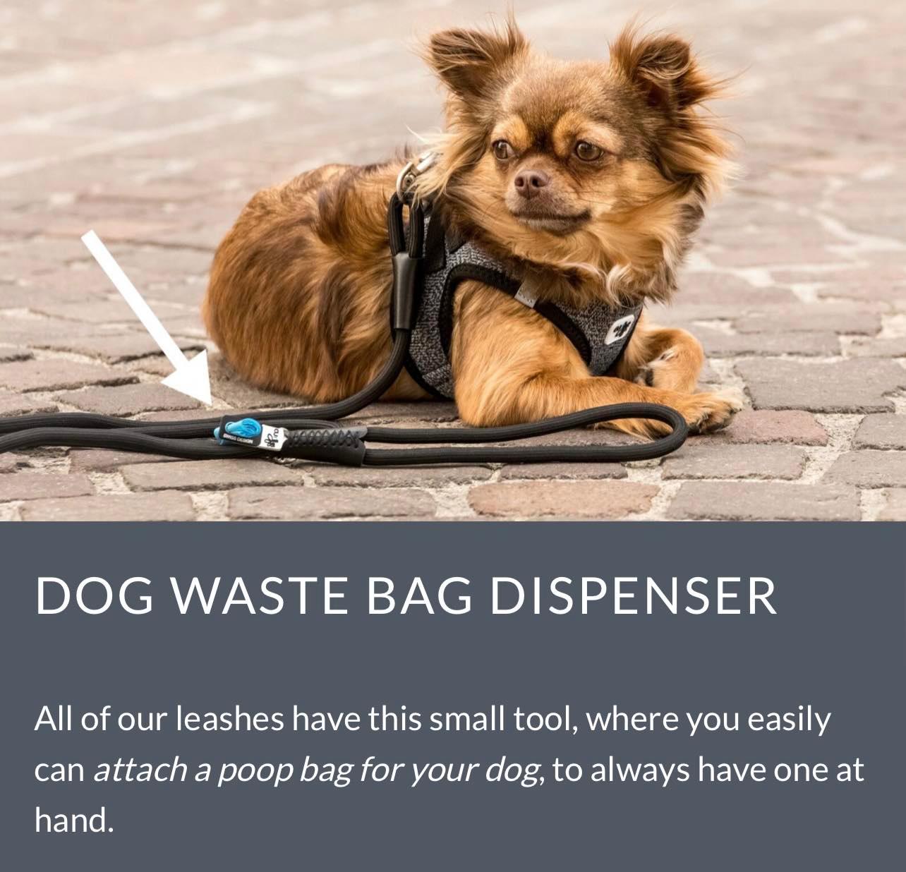 Curli Stretch Comfort Leash | For Dogs up to 40kg | Black - Large | 180cm