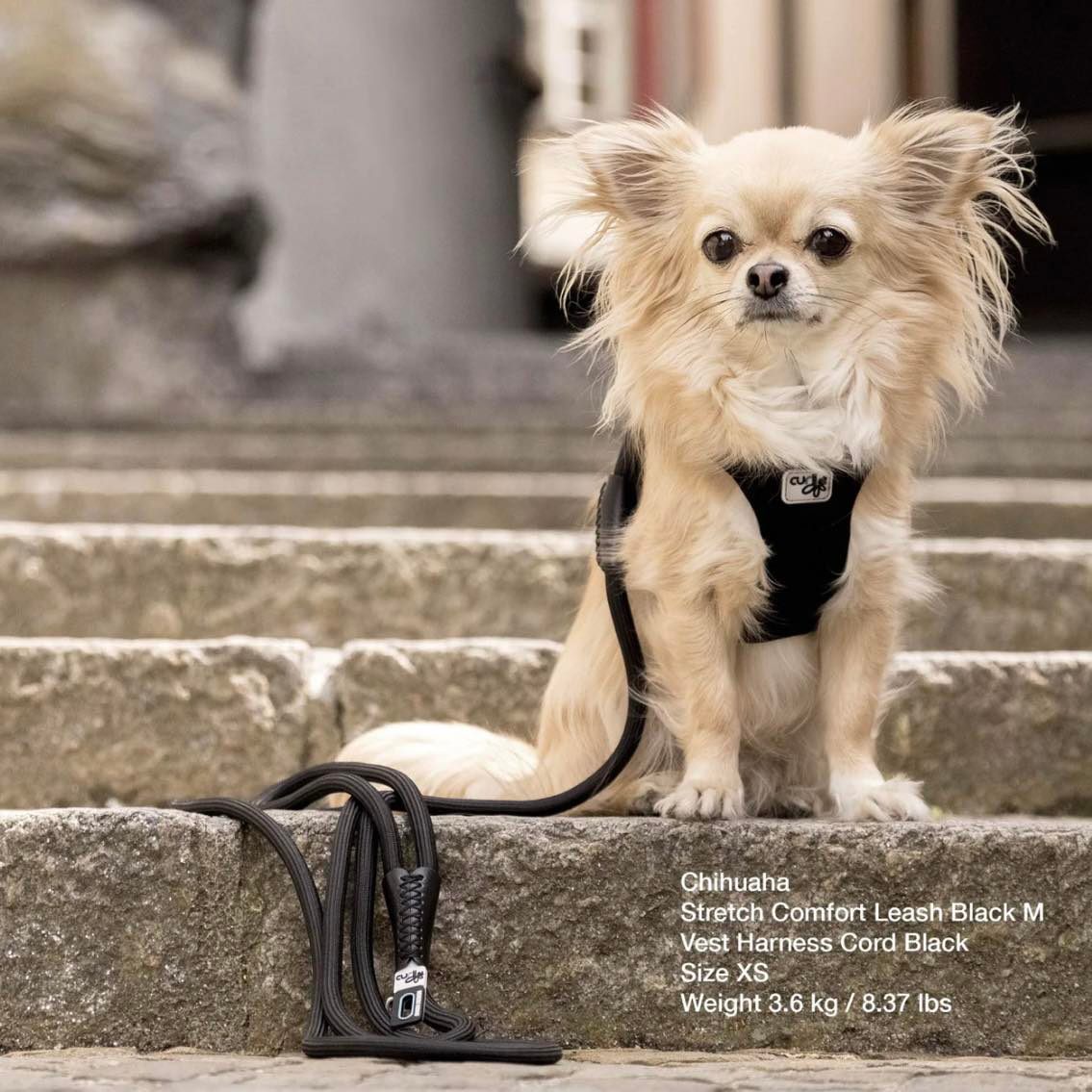 Curli Stretch Comfort Leash | For Dogs up to 40kg | Black - Large | 180cm