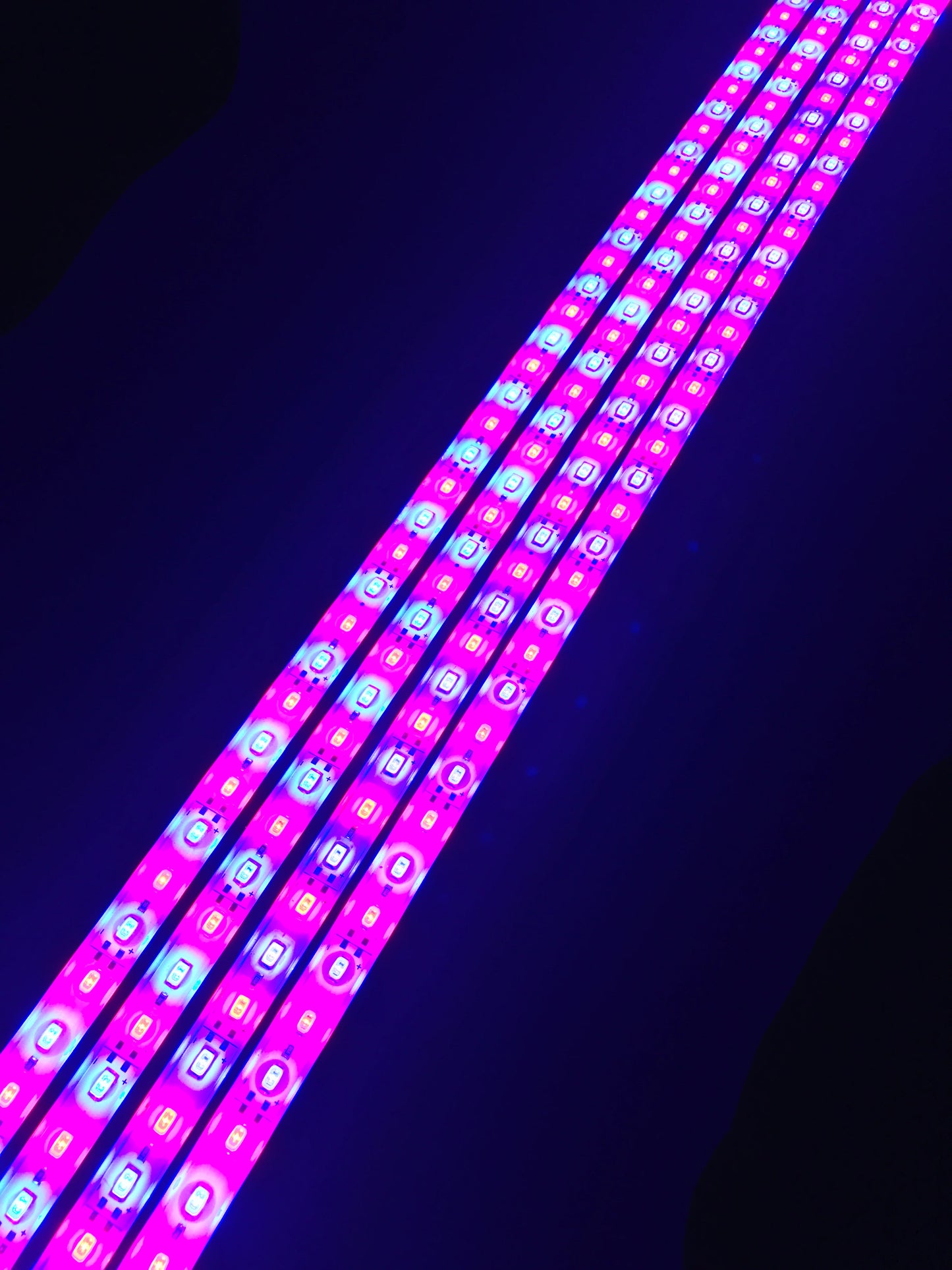 100cm Rigid LED Strip 5630 LED 12V - 2 x 100cm Kit