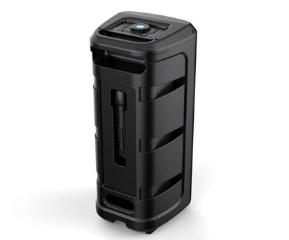 BT Speaker 8”x2 Karaoke W/Wireless Mic | CS-8809