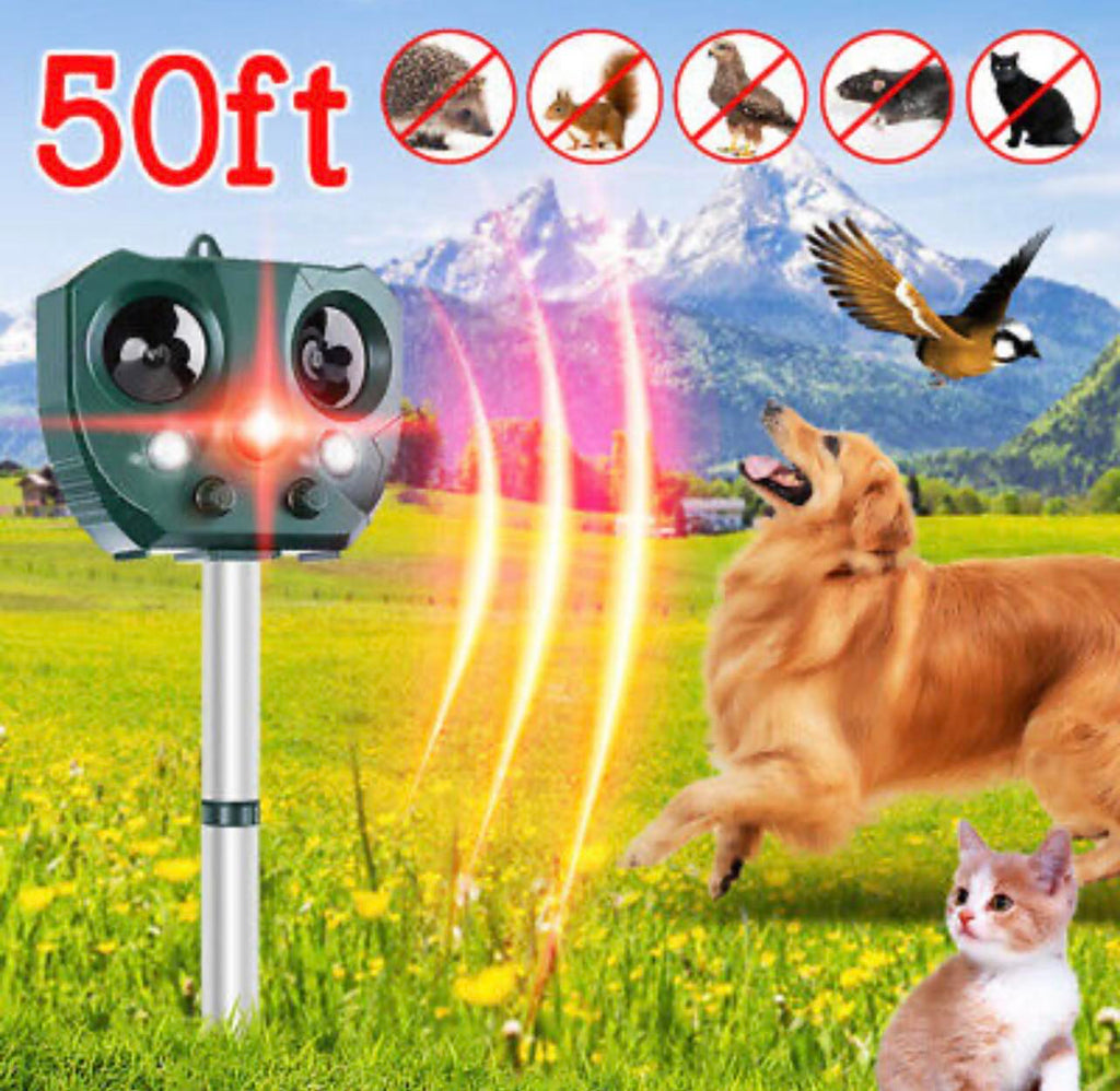 Ultrasonic lights discount