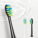 Sodentist 2 Pack Sonic Electric Toothbrush | am101