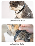 Cheerble KiTiDOT NUM-mini 9 Amusing Collar Cat Toy