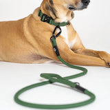 PETS IN SUITS - Tactical Leash | Green