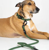 PETS IN SUITS - Tactical Leash | Green