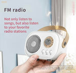 Mini Bluetooth Karaoke Wireless Mic Speaker Set | C20 PLUS | 4 Colours