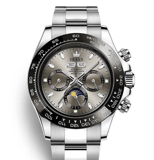OLEVS 6654 Luxury Automatic Mechanical Watch