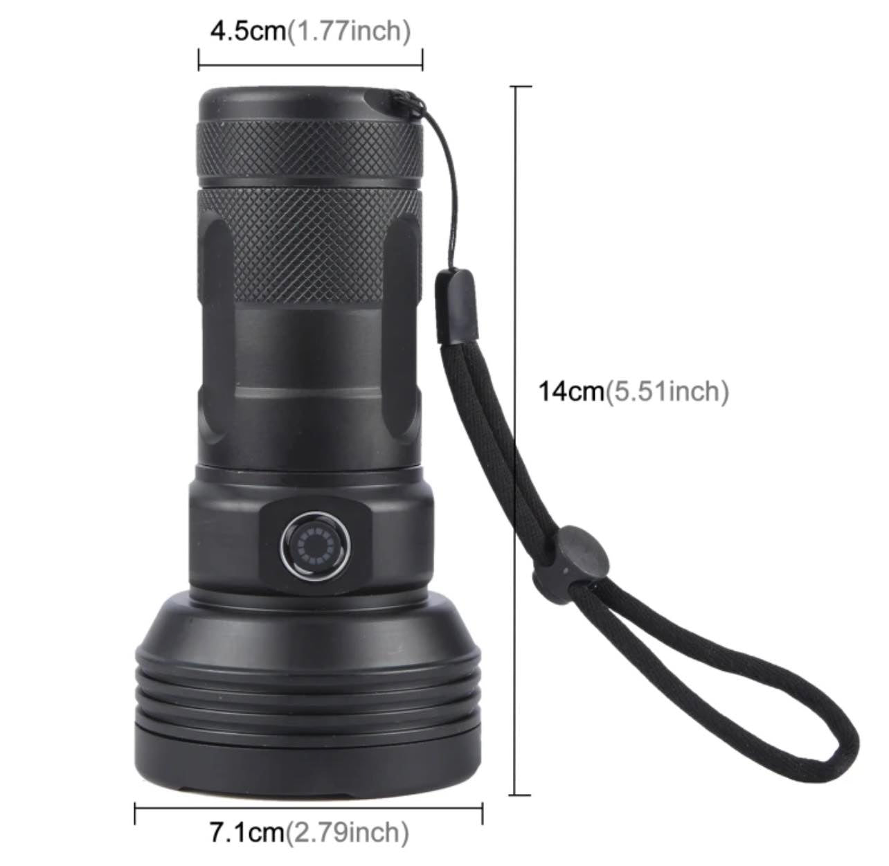 High Brightness 31 LED Flashlight | W5202-1