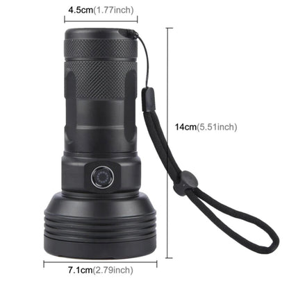 High Brightness 31 LED Flashlight | W5202-1