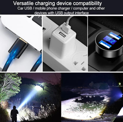 High Brightness 31 LED Flashlight | W5202-1