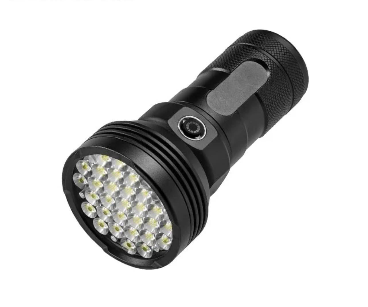 High Brightness 31 LED Flashlight | W5202-1