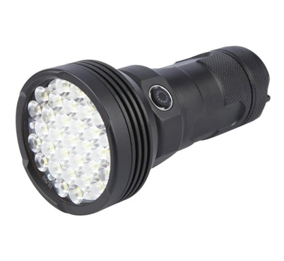 High Brightness 31 LED Flashlight | W5202-1
