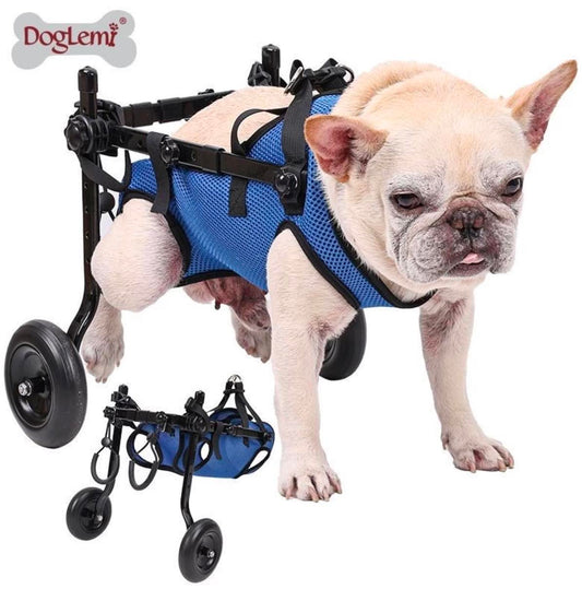 Dog Wheelchair Disabled/Recovery Dog Leg Support | Medium