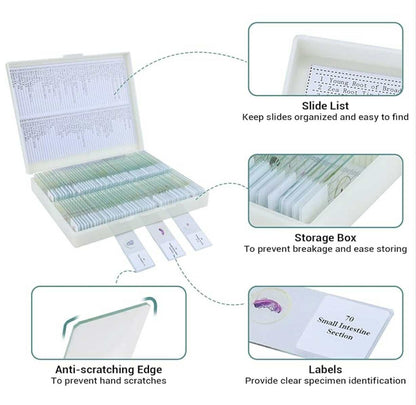 100 Prepared Microscope Slides W/Specimens | WR-W08