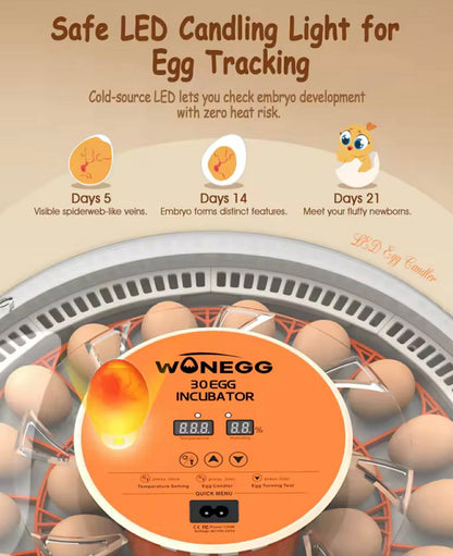 WONEGG 30 EGG Incubator High Hatching Rate Auto Turning