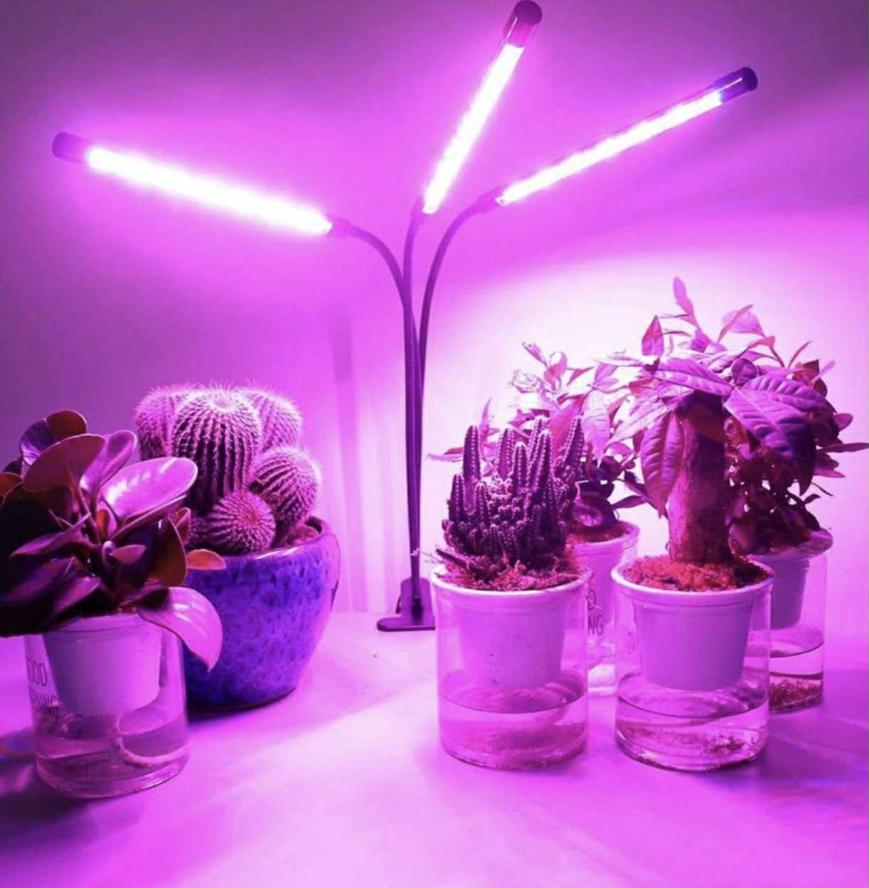 Plant Grow Light – LED Three-Head Clip Type Full-Spectrum USB