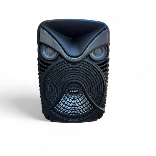 Trolley BT Speaker 15” Colour RGB Light Karaoke W/Wireless Mic | CS-5103