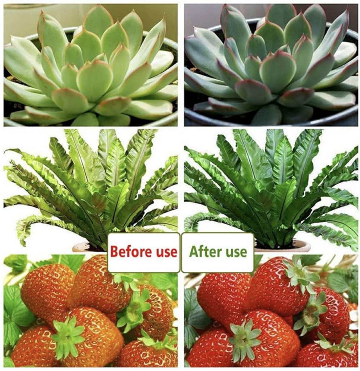Plant Grow Light – LED Three-Head Clip Type Full-Spectrum USB