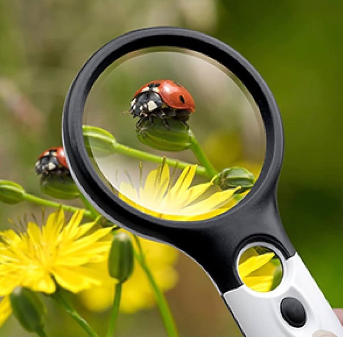 Handheld Magnifying Glass Dual Lens 3X & 45X W/3 LED Lights