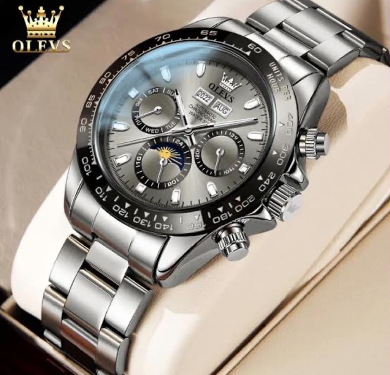 OLEVS 6654 Luxury Automatic Mechanical Watch