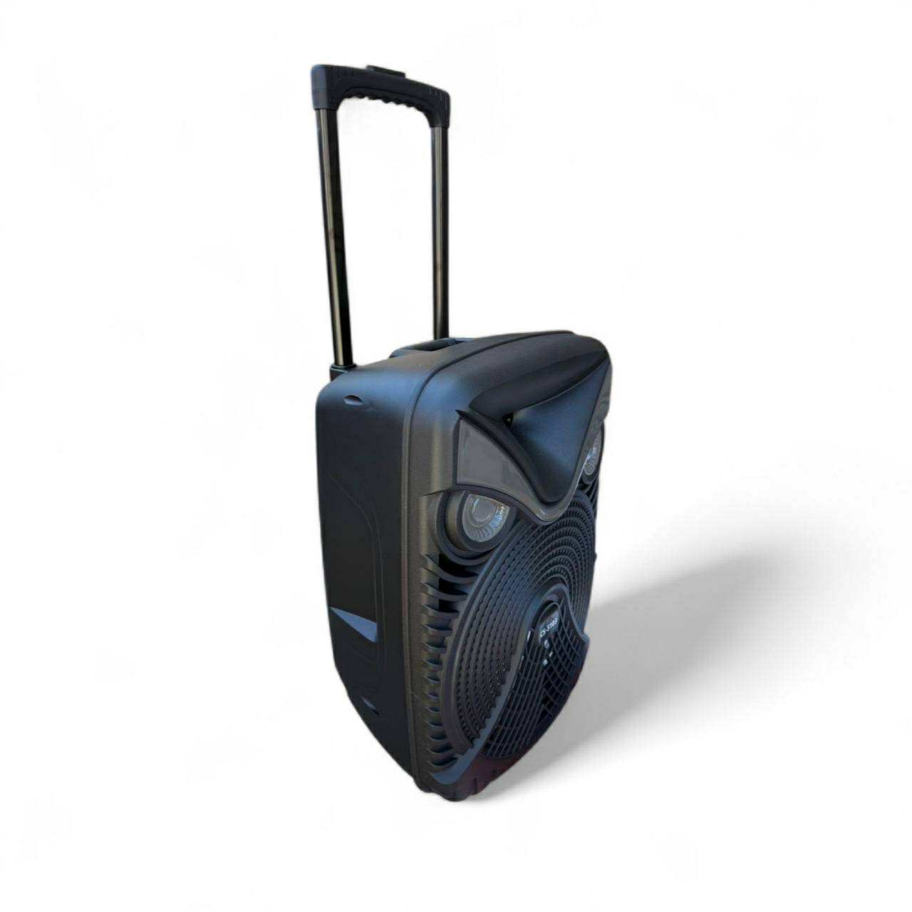 Trolley BT Speaker 15” Colour RGB Light Karaoke W/Wireless Mic | CS-5103