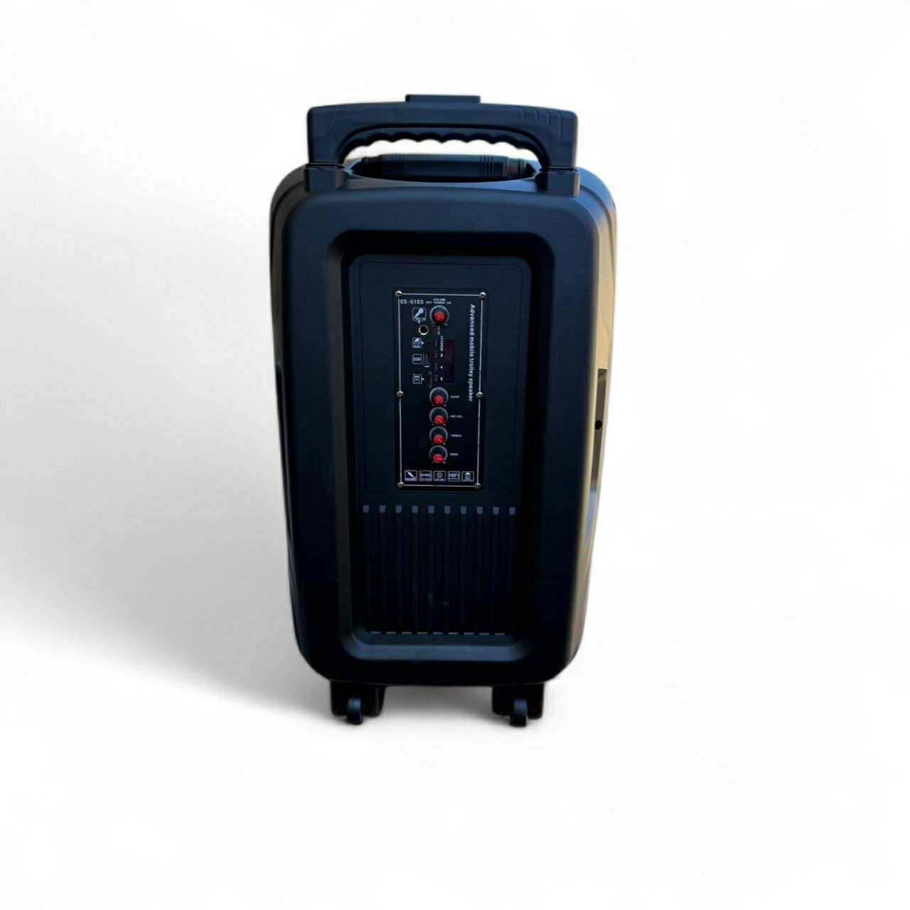 Trolley BT Speaker 15” Colour RGB Light Karaoke W/Wireless Mic | CS-5103