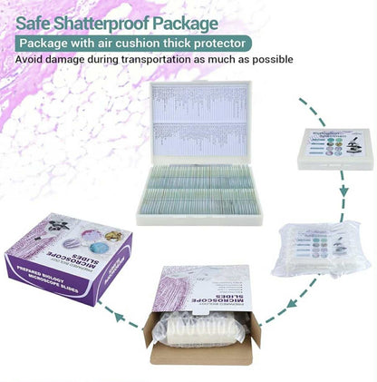 100 Prepared Microscope Slides W/Specimens | WR-W08