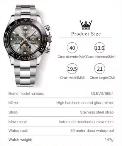 OLEVS 6654 Luxury Automatic Mechanical Watch