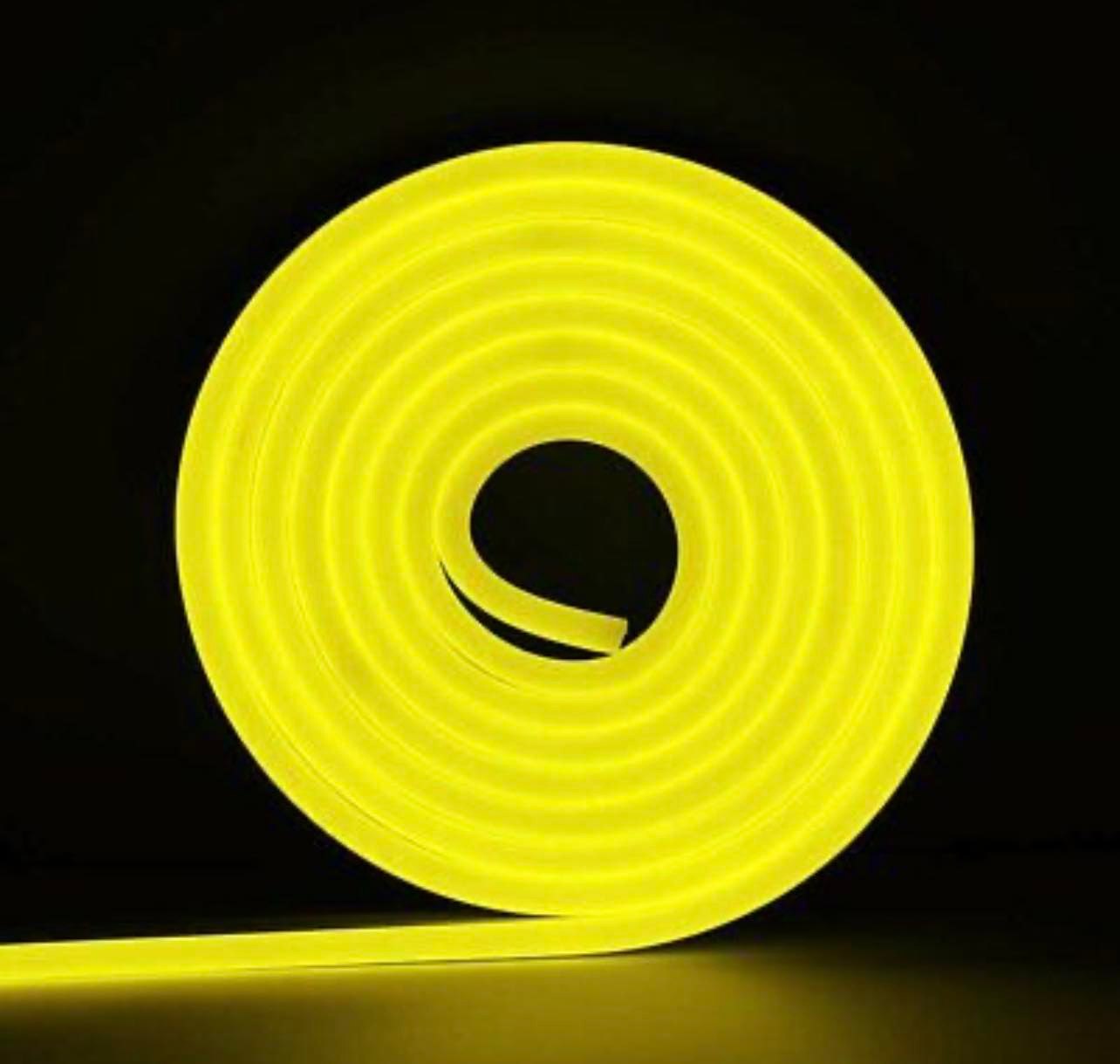 5 Metre Silicone LED Strip Neon Light 12V