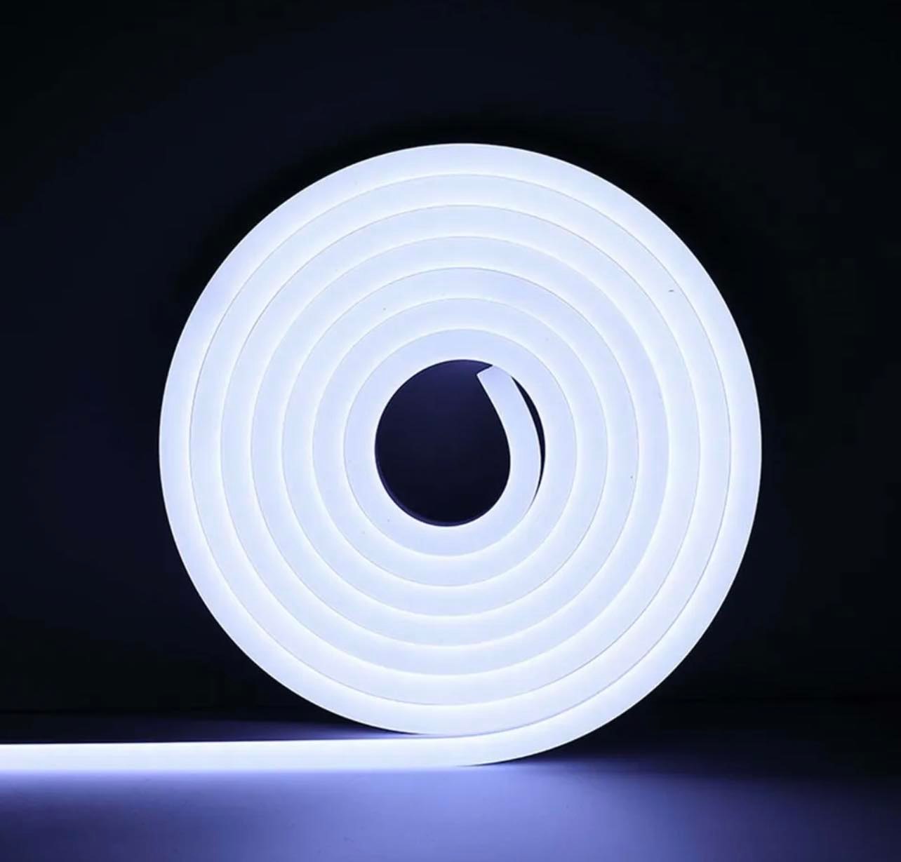 5 Metre Silicone LED Strip Neon Light 12V