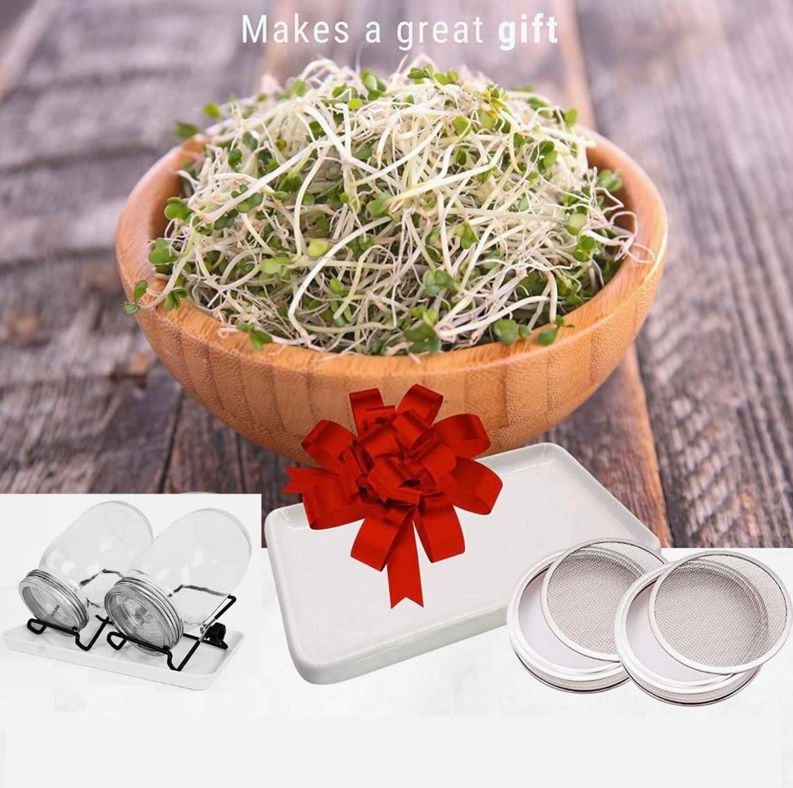 Sprouting Seeds Jar Kit-2Pack 900ml Mason Jar W/Stainless Steel lids, Stand & Tray