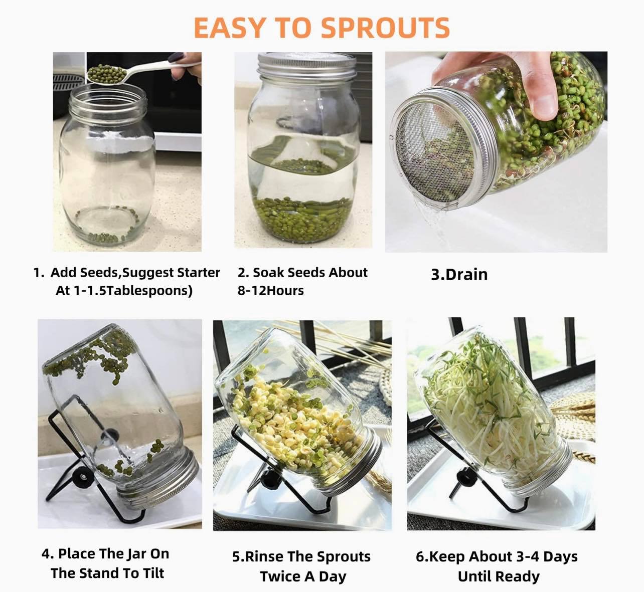 Sprouting Seeds Jar Kit-2Pack 900ml Mason Jar W/Stainless Steel lids, Stand & Tray