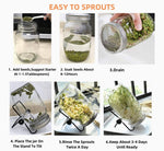 Sprouting Seeds Jar Kit-2Pack 900ml Mason Jar W/Stainless Steel lids, Stand & Tray
