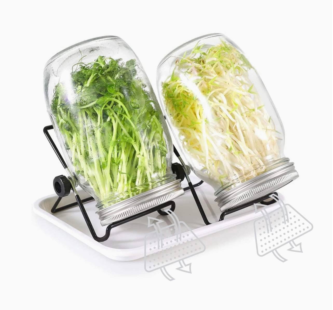 Sprouting Seeds Jar Kit-2Pack 900ml Mason Jar W/Stainless Steel lids, Stand & Tray