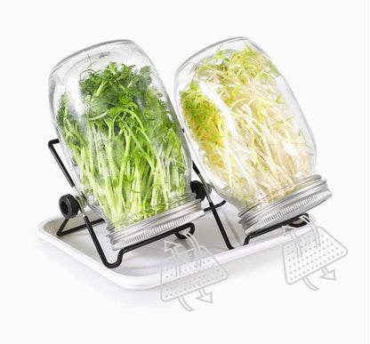 Sprouting Seeds Jar Kit-2Pack 900ml Mason Jar W/Stainless Steel lids, Stand & Tray