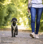 Curli Stretch Comfort Leash | For Dogs up to 40kg | Black - Large | 180cm