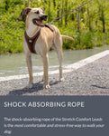 Curli Stretch Comfort Leash | For Dogs up to 40kg | Black - Large | 180cm